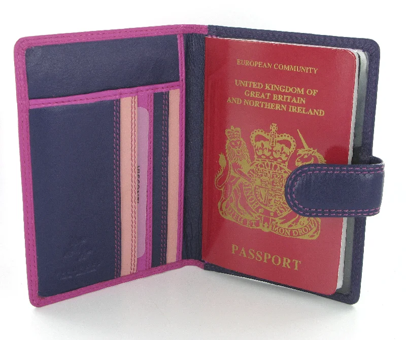 Custom money clips for corporate giftsVisconti Rainbow Passport Holder RB75 Berry Multi