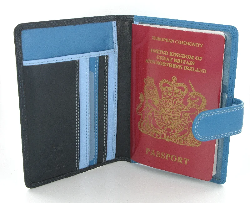 Top-rated money clips for everyday useVisconti Rainbow Passport Holder RB75 Blue Multi