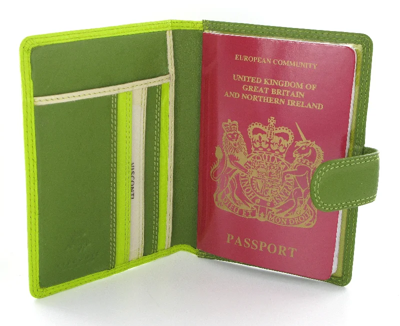 Lightweight money clips for travelVisconti Rainbow Passport Holder RB75 Lime Multi